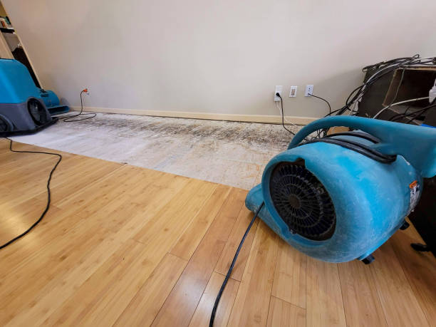 Professional Sewage Cleanup technician working in Nassau, NY